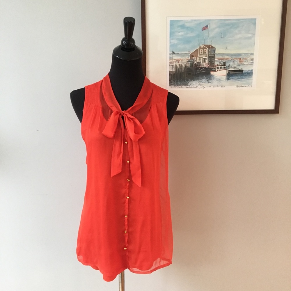 The Limited Sheer Front Tie Neck Sleeveless Blouse